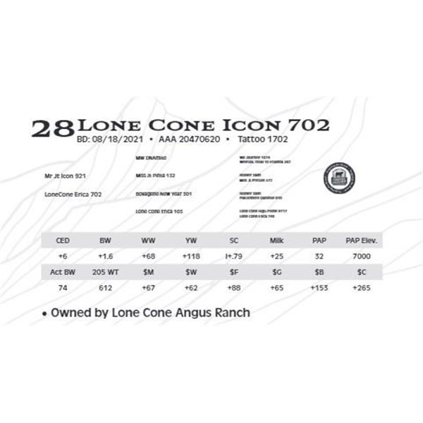 Lot 28 - Lone Cone Icon 702