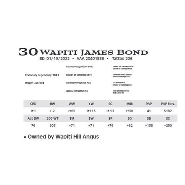 Lot 30 - Wapiti James Bond