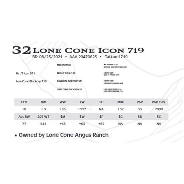 Lone Cone Icon 719