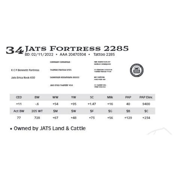 Lot 34 - Jats Fortress 2285