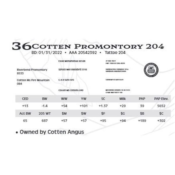 Lot 36 - Cotten Promontory 204