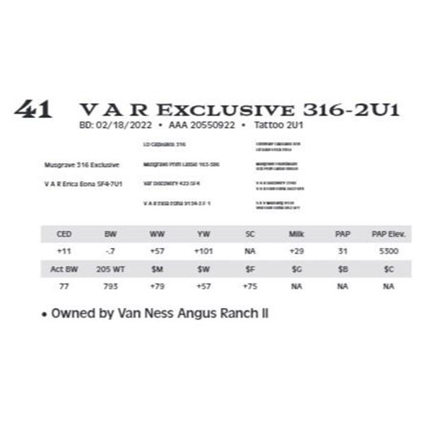 V A R Exclusive 316-2U1