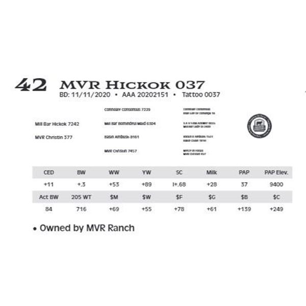 MVR Hickok 037