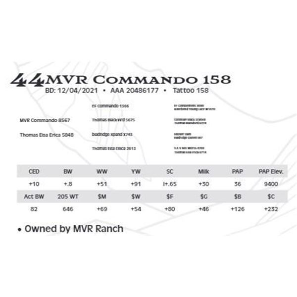 MVR Commando 158