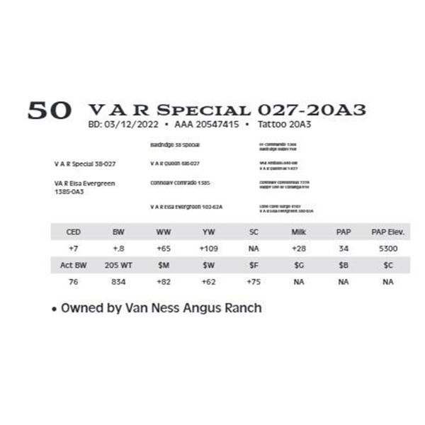 V A R Special 027-20A3