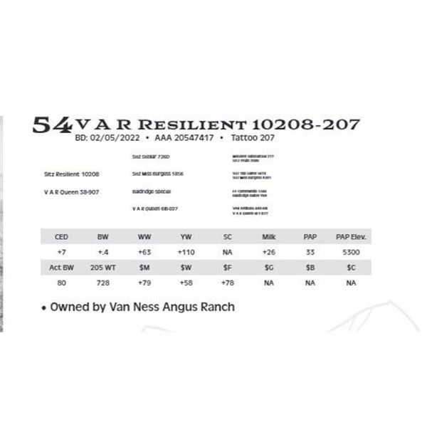 V A R Resilient 10208-207