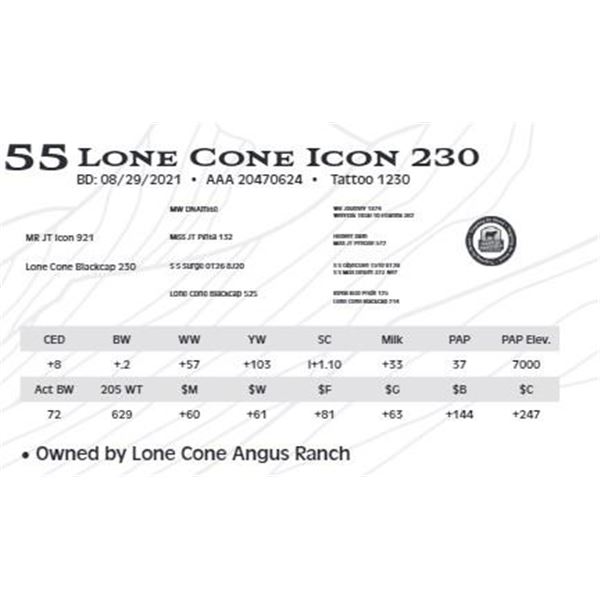 Lone Cone Icon 230