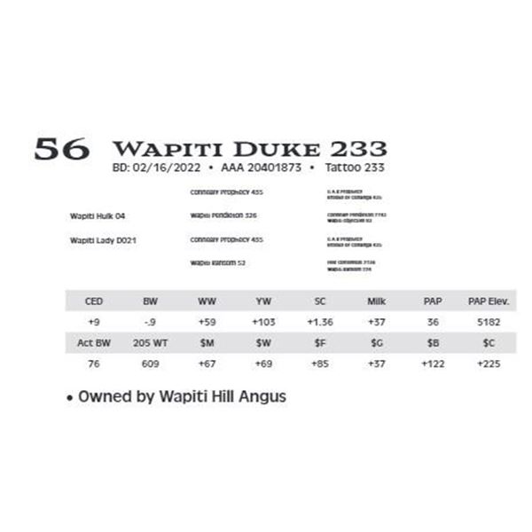 Wapiti Duke 233