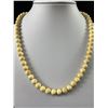 Image 2 : Beautiful Vintage Genuine Ivory Bead Necklace. 20", Original Clasp