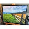 Image 1 : Framed Canvas Artwork Fences- 42x33 inch