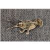 Image 2 : HOPI INDIAN STERLING SILVER PIN SIGNED WITH HALLMARK