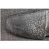Image 8 : STONE AXE HEAD