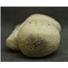 Image 7 : ESKIMO INDIAN SCULPTURE SIGNED TAS