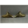 Image 5 : SPANISH BRASS STIRRUPS