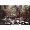 Image 10 : THREE PHOTOS BY LARIE FORNEY