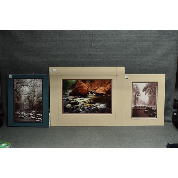 THREE PHOTOS BY LARIE FORNEY