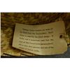 Image 7 : PAPAGO INDIAN BASKETRY TRAY