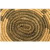 Image 6 : PIMA INDIAN BASKETRY TRAY