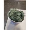 Image 2 : SALMON WEB NET
