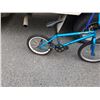 Image 2 : TURQUOISE MOTIVE BIKE