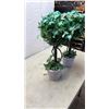 Image 2 : 2 ARTIFICIAL PLANTS