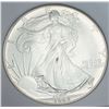 Image 1 : 1992 American Silver Eagle MS70?