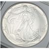 Image 1 : 1993 American Silver Eagle MS70?