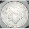 Image 2 : 1993 American Silver Eagle MS70?