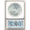 Image 4 : 1993 American Silver Eagle MS70?