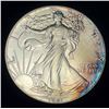 Image 1 : 1987 American Silver Eagle