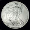 Image 1 : 1996 American Silver Eagle