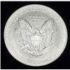Image 2 : 2006 American Silver Eagle