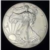 Image 1 : 2016 American Silver Eagle