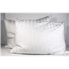 Image 1 : TWO WEATHERPROOF FEATHER PILLOWS 67X49" EACH