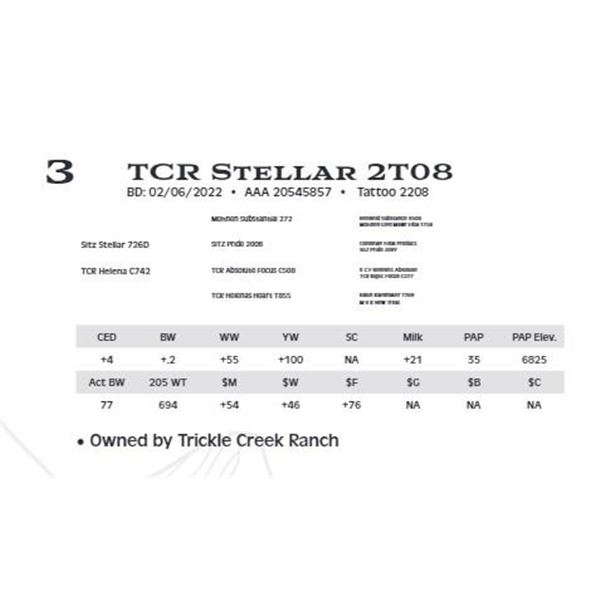 Lot 3 - TCR Stellar 2T08