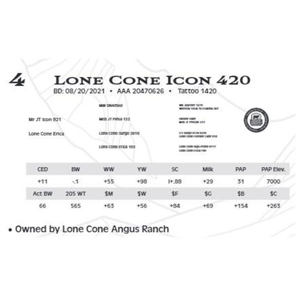 Lot 4 - Lone Cone Icon 420