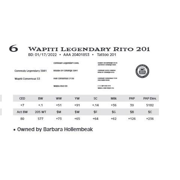 Lot 6 - Wapiti Legendary Rito 201