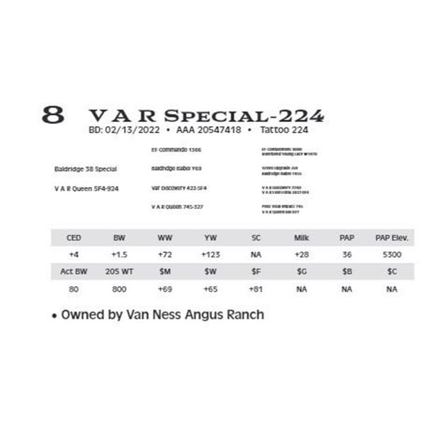 Lot 8 - V A R Special-224