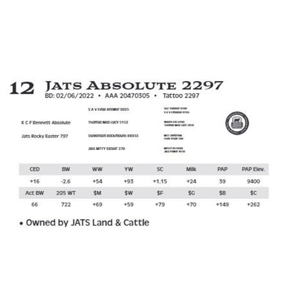 Lot 12 - Jats Absolute 2297