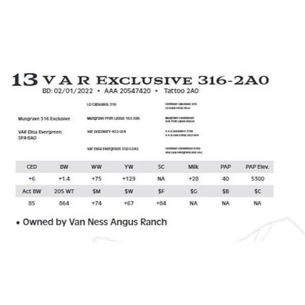 Lot 13 - V A R Exclusive 316-2A0