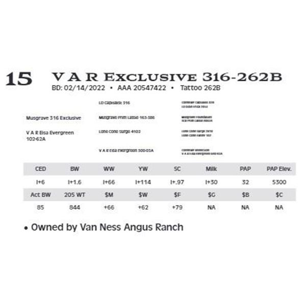 Lot 15 - V A R Exclusive 316-262B