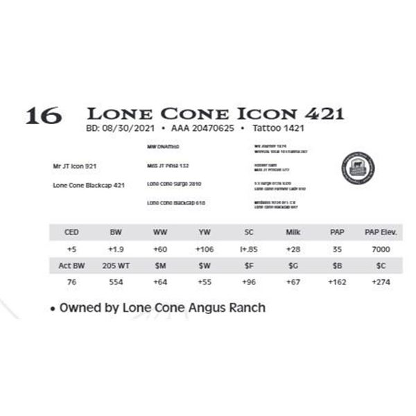 Lot 16 - Lone Cone Icon 421