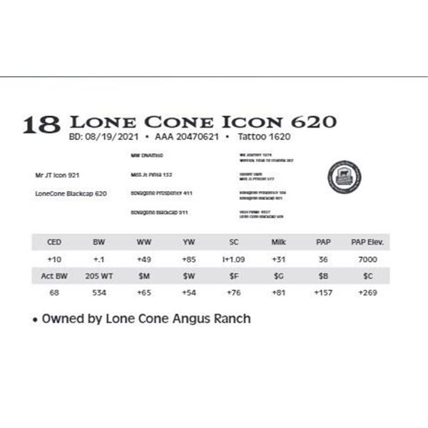 Lone Cone Icon 620