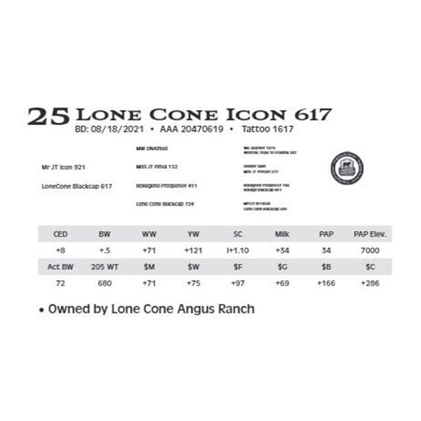 Lot 25 - Lone Cone Icon 617