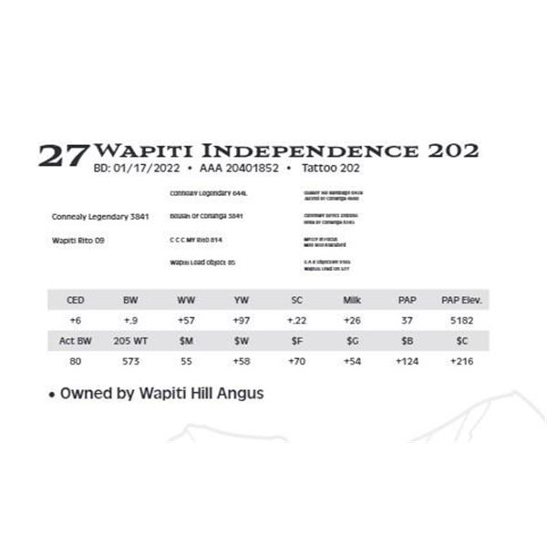 Lot 27 - Wapiti Independence 202