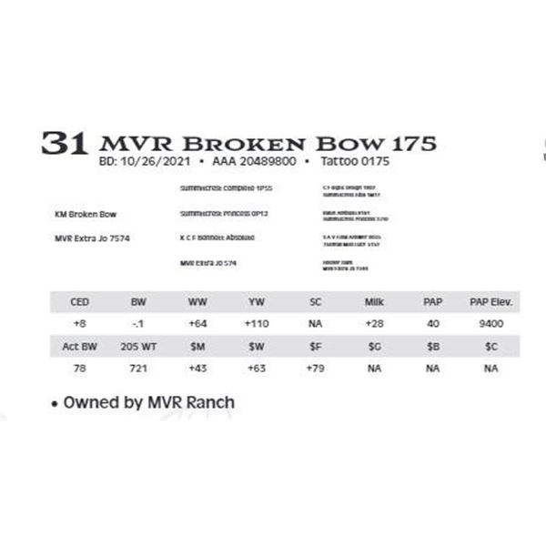 Lot 31 - MVR Broken Bow 175