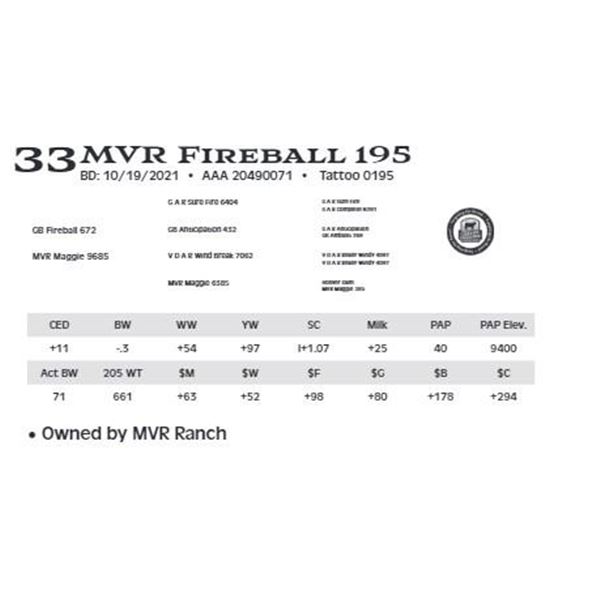 Lot 33 - MVR Fireball 195