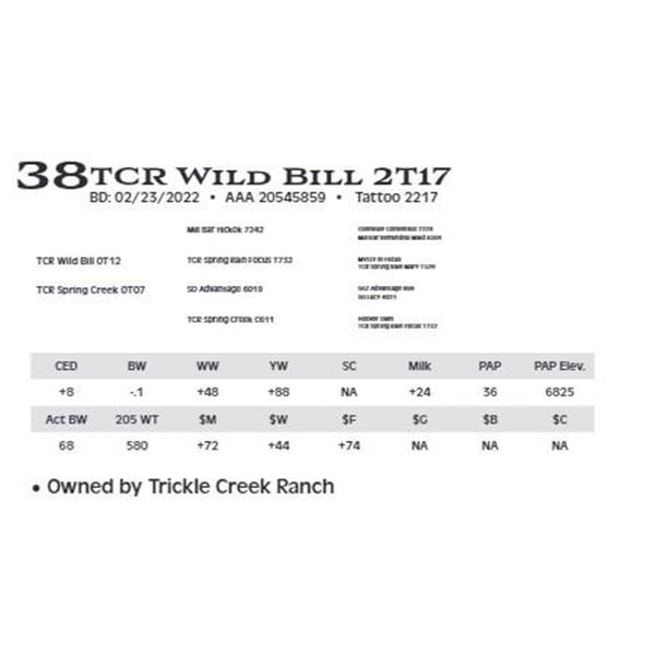 Lot 38 - TCR Wild Bill 2T17