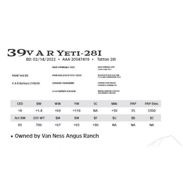 Lot 39 - V A R Yeti-28I
