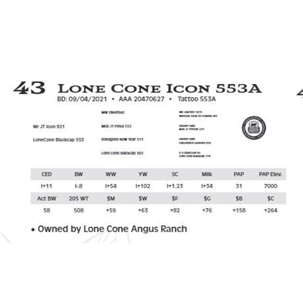Lone Cone Icon 553A